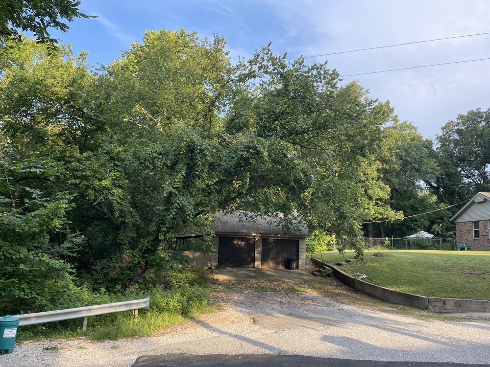 Spira Tree Care - tree service in Siloam Springs, AR