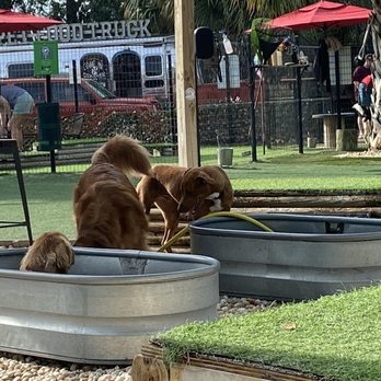 BrewHound Dog Park + Bar - Tub pools for cooling down on the extra hot days. - Dog Parks Near Me - Neptune Beach, Florida