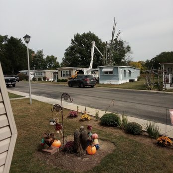 Top Notch Tree Service - These guys started early this morning - Tree Services Near Me Top Notch Tree Service - These guys started early this morning - Tree Services Near Me