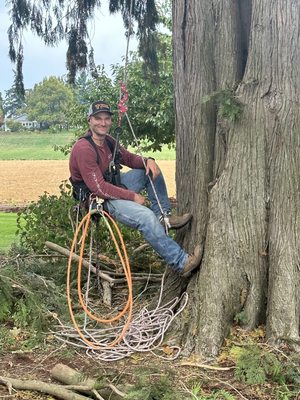 Experience ⭐️ Integrity ⭐️ Work-Ethic - Professional and experienced arborist services including tree removal, stump grinding, and trimming for both large and small jobs in the Willamette Valley! Experience ⭐️ Integrity ⭐️ Work-Ethic - Professional and experienced arborist services including tree removal, stump grinding, and trimming for both large and small jobs in the Willamette Valley!