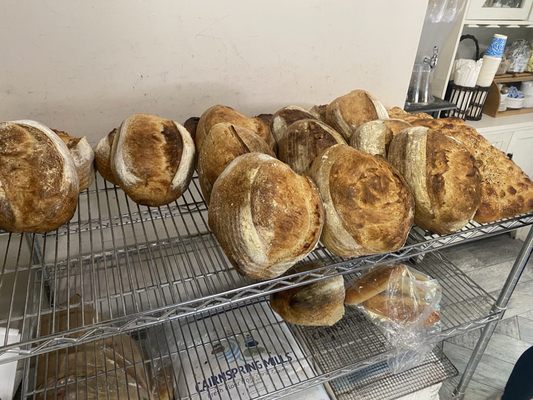 Rooster Boy Cafe by null