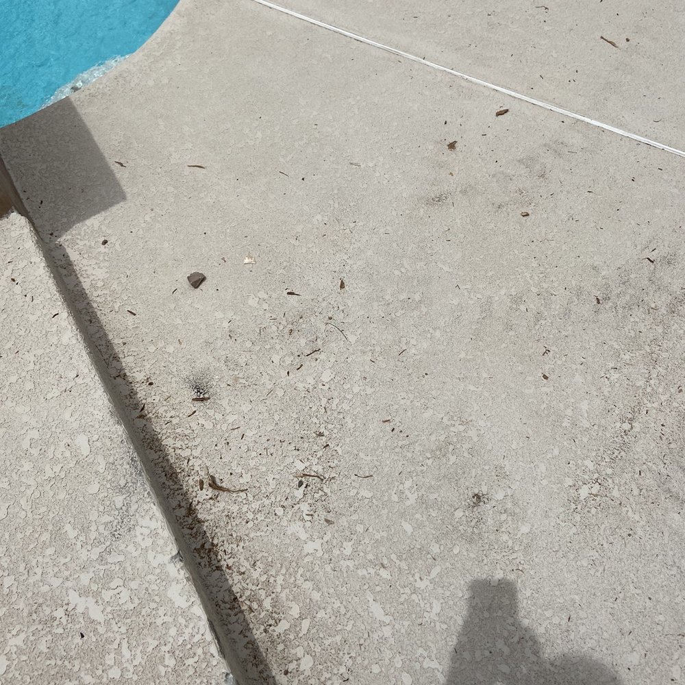 A Cut Above Tree Service - No cleanup - Tree Services Near Me - Las Vegas, Nevada A Cut Above Tree Service - No cleanup - Tree Services Near Me - Las Vegas, Nevada