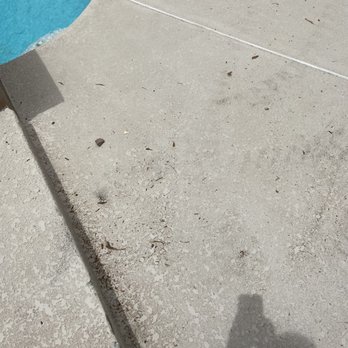 A Cut Above Tree Service - No cleanup - Tree Services Near Me - Las Vegas, Nevada