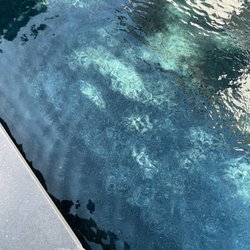 American Pool Plastering - Calcium damage on the pool floor