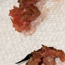 Safeway - Some type of plastic in the ground beef. And it didn't smell like hamburger meat. It smelled like horses and plastic.