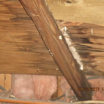 Mark Griffith Home Inspector - You want to know if the Roof is leaking - Home Inspectors Near Me Mark Griffith Home Inspector - You want to know if the Roof is leaking - Home Inspectors Near Me
