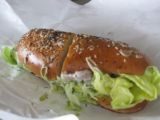 The Sentinel by null