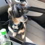 Photo of K-9 Designs Full Service Grooming Salon
