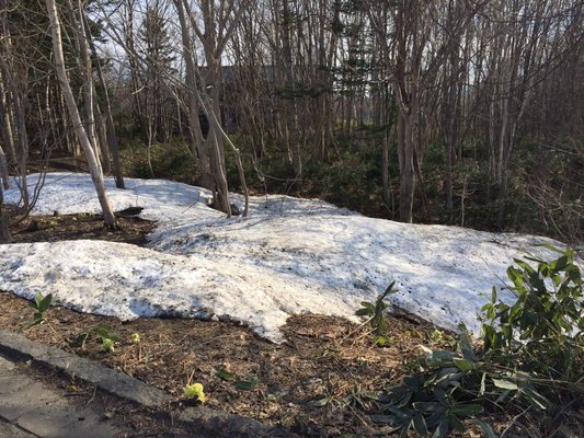 Hokkaido Museum by null