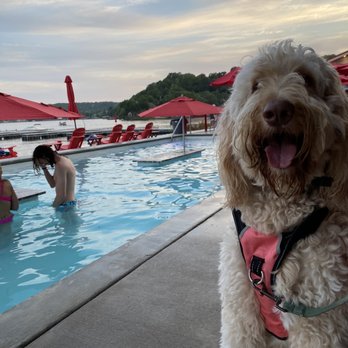 The Cave Bar & Grill - Pet friendly for friendly pets! - Sports Bars Near Me - Camdenton, Missouri