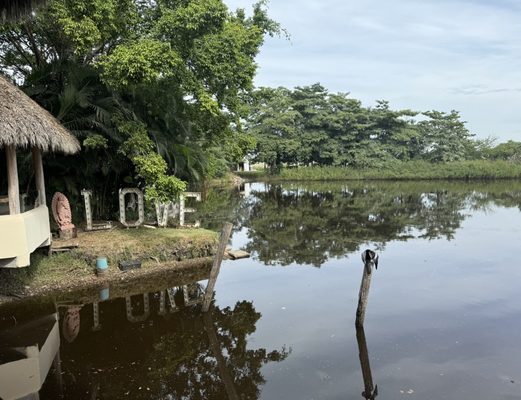 The Blue Shrimp Nuevo Vallarta by null