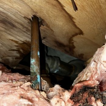 Alliance Home Inspections - Ongoing leak under shower - Home Inspectors Near Me Alliance Home Inspections - Ongoing leak under shower - Home Inspectors Near Me