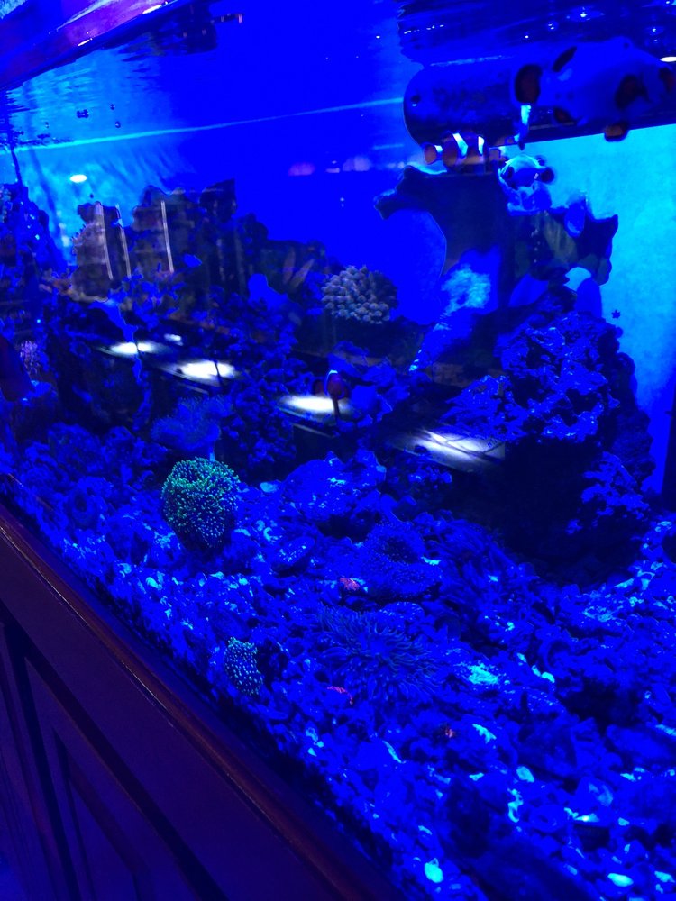 WET PETS Updated August 2024 26 Photos & 24 Reviews 520 Hartford