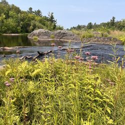 Jay Cooke State Park - Swing Bridge hiking trail