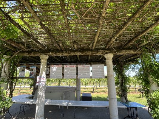 Blue Sky Vineyard by null
