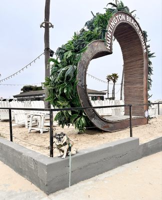 Huntington Beach by null