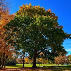 Grant Park Golf Course