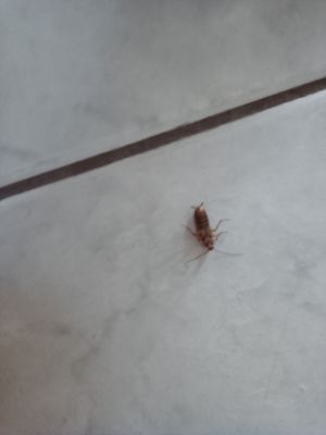 KEY LANTERN MOTEL - Updated March 2025 - 19 Photos & 22 Reviews - 82150