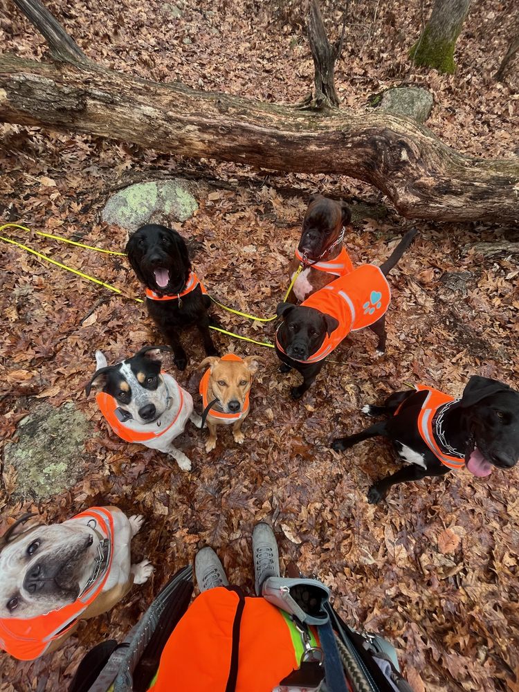 Tails N' Trails - pet boarding facility in Worcester, MA