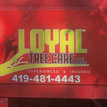 Loyal Tree Care - Tree Services Near Me Loyal Tree Care - Tree Services Near Me