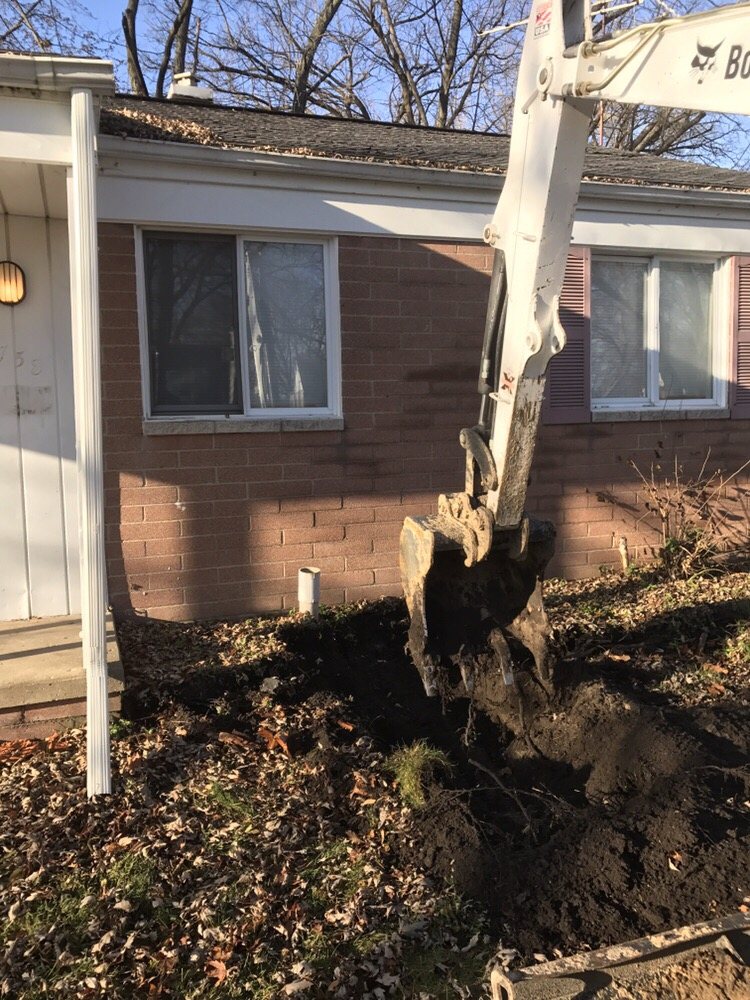 Slide of Mr Root Out