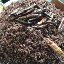 Chapulines Doña Daniela - Chapulines con chile y ajo