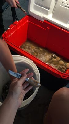 Freedom Boat Club-Homosassa Springs: Homosassa Marina