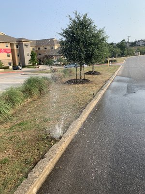Irrigation Maintenance And Repairs - What Sets Total Lawn & Sprinkler Apart from Other Commercial and HOA Landscaping Companies in Austin & San Antonio?
Whenever people ask us this question, we always answer that it’s our top-notch quality service that sets us apart from other commercial landscaping companies in the Austin & San Antonio areas. And once we do a job for them, they understand why.
It’s no big secret that some landscapers believe that service comes down to simply cutting your lawn and adding a few potted plants. At Total Lawn & Sprinkler, we provide you with more than just a trim and potted plants–we provide top-notch quality service and true custom maintenance of your grounds.
You’ll know you’re in good hands, as our expert Austin and San Antonio maintenance teams efficiently plan, install and maintain your commercial landscape, as well as provide you with sprinkler system and repair, all at a competitive cost.
Our years of trustworthy service and long list of satisfied customers ensure that your commercial property will receive the best possible treatment and care.
You’ll also enjoy our 24/7 availability and emergency service. Have a special event? Give us a call. We’ll come by the day before and ensure your property is looking its best. For emergencies, we’re available every day of the week, including Sundays. Irrigation Maintenance And Repairs - What Sets Total Lawn & Sprinkler Apart from Other Commercial and HOA Landscaping Companies in Austin & San Antonio?
Whenever people ask us this question, we always answer that it’s our top-notch quality service that sets us apart from other commercial landscaping companies in the Austin & San Antonio areas. And once we do a job for them, they understand why.
It’s no big secret that some landscapers believe that service comes down to simply cutting your lawn and adding a few potted plants. At Total Lawn & Sprinkler, we provide you with more than just a trim and potted plants–we provide top-notch quality service and true custom maintenance of your grounds.
You’ll know you’re in good hands, as our expert Austin and San Antonio maintenance teams efficiently plan, install and maintain your commercial landscape, as well as provide you with sprinkler system and repair, all at a competitive cost.
Our years of trustworthy service and long list of satisfied customers ensure that your commercial property will receive the best possible treatment and care.
You’ll also enjoy our 24/7 availability and emergency service. Have a special event? Give us a call. We’ll come by the day before and ensure your property is looking its best. For emergencies, we’re available every day of the week, including Sundays.