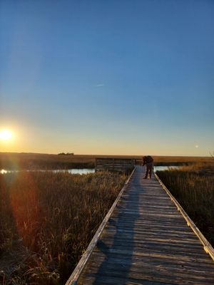 Hunting Island by null