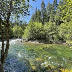 Pipi Campground - Campsite 50 river view