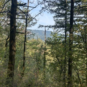 Bridal Veil Falls - The view halfway to Bridal Veil Falls. - Hiking Near Me - Corbett, Oregon