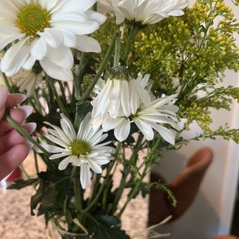 Miracle Flowers - You can't be serious? - Florists Near Me - Folsom, California Miracle Flowers - You can't be serious? - Florists Near Me - Folsom, California