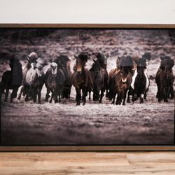 Guadalupe Laiz Gallery Space