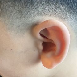 Master Barbers - Charge for a bald fade 38 for a kid hair cut bad fade