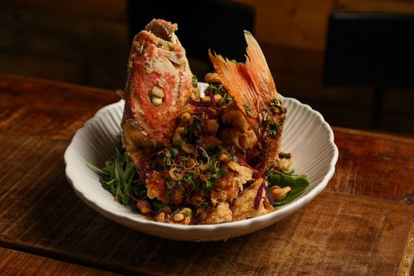 Thaihey NOLA by null