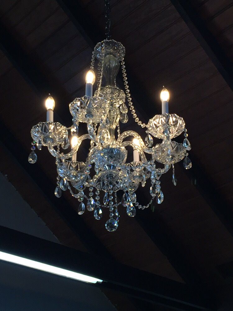 CUTE CUTS AND MORE Updated August 2024 3125 Kaliste Saloom Rd