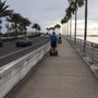 Photo of Florida Ever-Glides