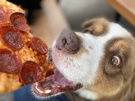 Corner Pizza by null