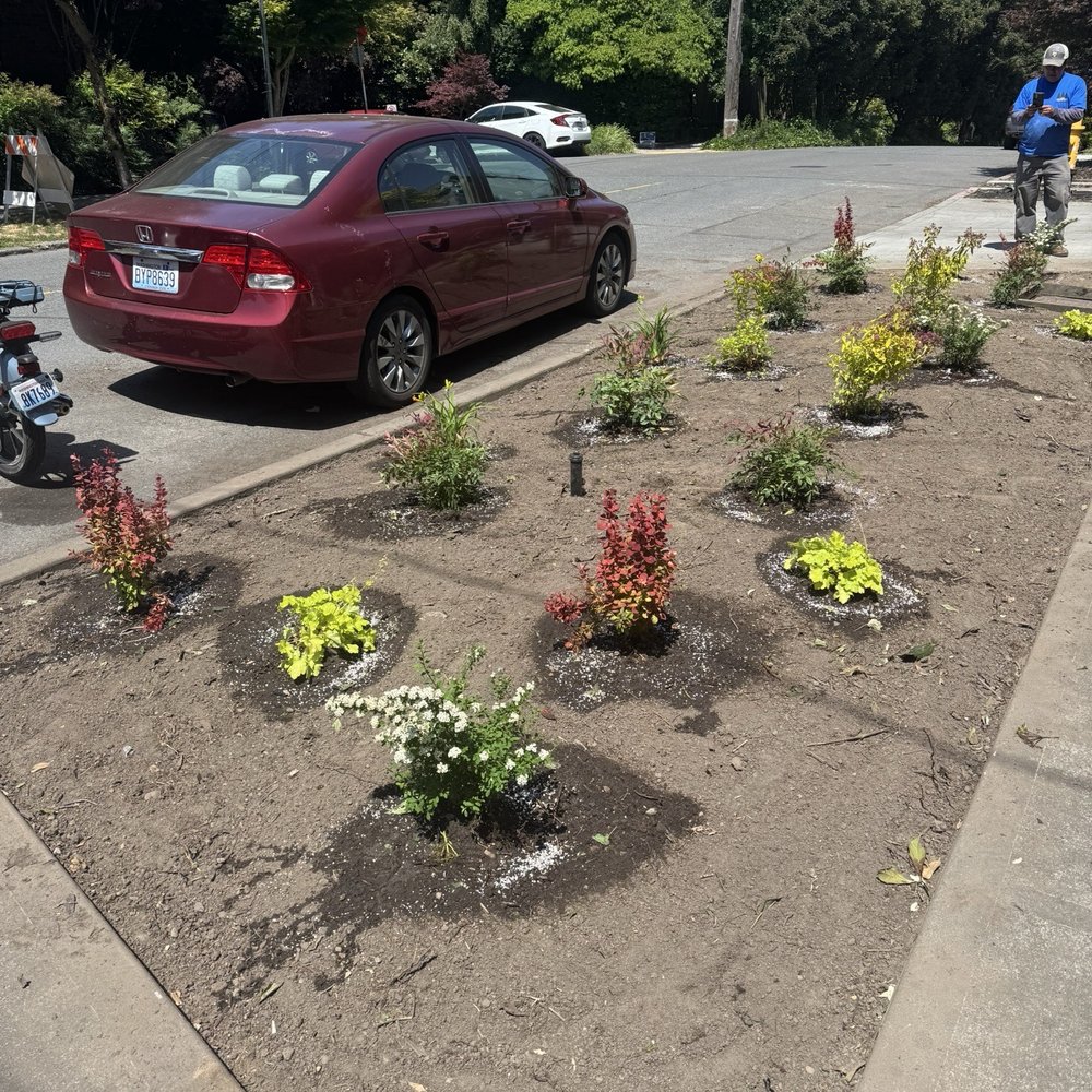 Firepit Landscaping - Planting new plants - Fences & Gates Near Me