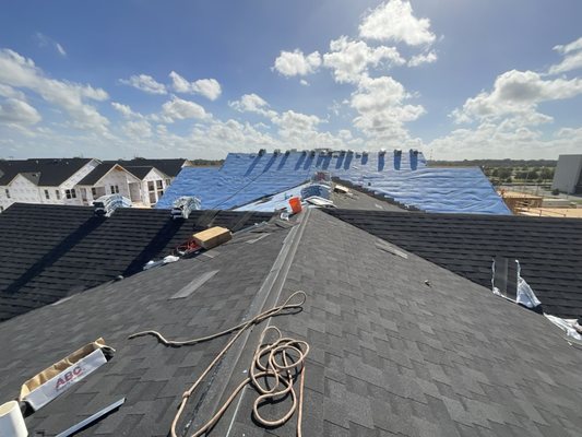 Paws and Build Construction Logo