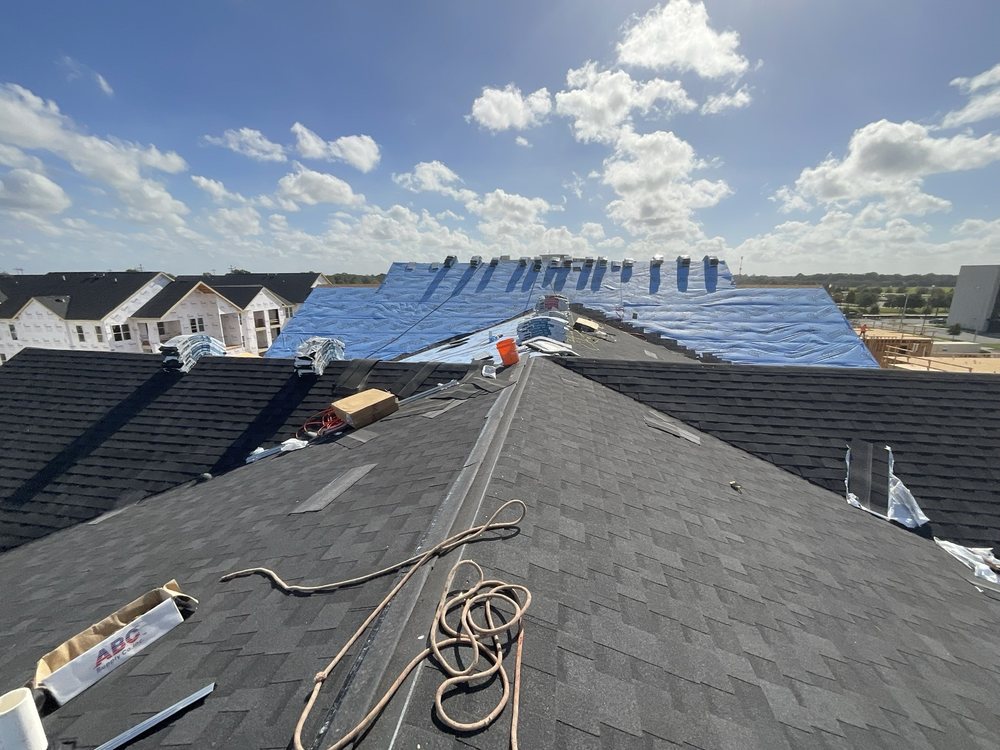 Slide of Paws and Build Construction