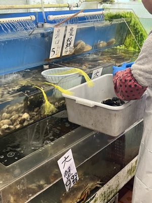 M. P. Seafood Market by null