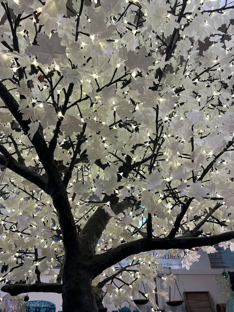 RUIDOSO NATURAL REMEDIES Updated May 2024 2537 Sudderth Dr, Ruidoso