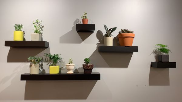 Cafe Terrace/shindangdong(신당동왕김밥) Kimbap roll by null