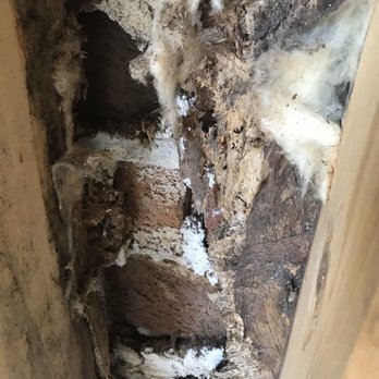 Basten Home Inspection - Rotted sheeting - Home Inspectors Near Me - Oneida, Wisconsin