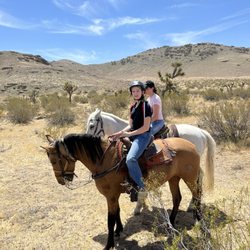 Golden Horse Mojave Ranch