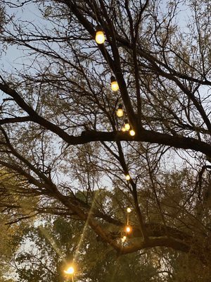 Tanque Verde Ranch by null
