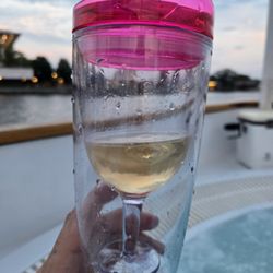 Sea the City Hot Tub Boat