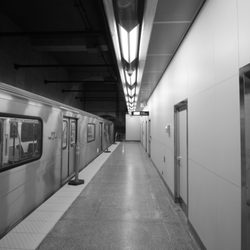 TTC York University