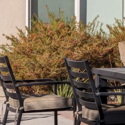 Trellis Centennial - Beautiful outdoor courtyard.